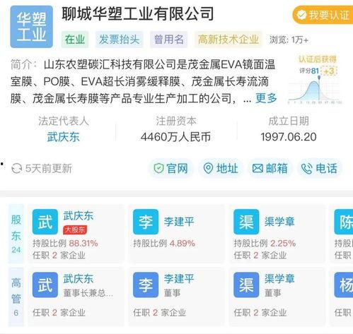聊城企业爆料事件视频,揭开企业内幕的真相与反思